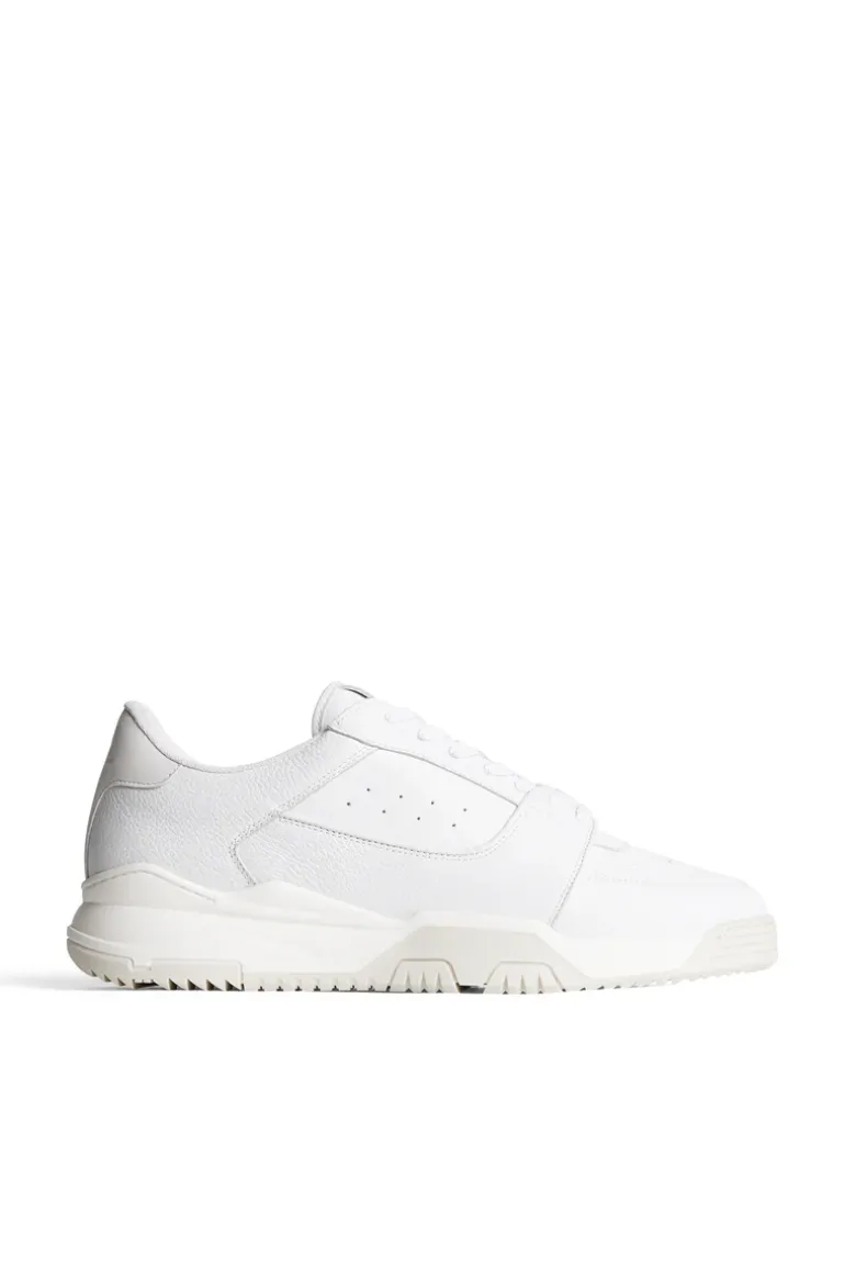Shop Hoop LT Sneaker Motesko|Shoes