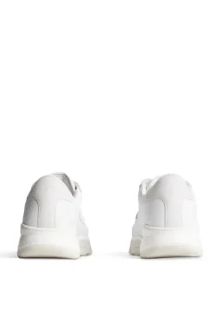 Shop Hoop LT Sneaker Motesko|Shoes